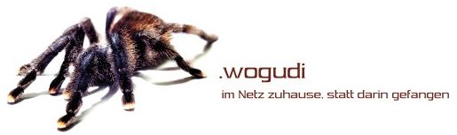 .wogudi Heidelberg - im Netz zuhause statt darin gefangen